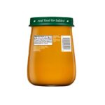 Beech-Nut Organics Stage 1 Organic Baby Food, Pumpkin, 4 oz Jar - 图片 2
