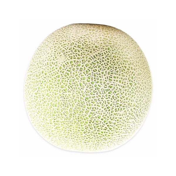 Fresh Cantaloupe, Each - 图片 2