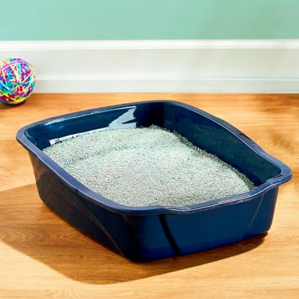 Vibrant Life Large Cat Litter Box - 图片 2