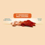 Golden Rewards Chicken Flavor Premium Dry Jerky Treats for All Dogs, 16 oz - 图片 2