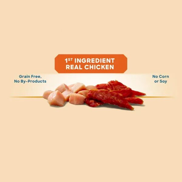 Golden Rewards Chicken Flavor Premium Dry Jerky Treats for All Dogs, 16 oz - 图片 2