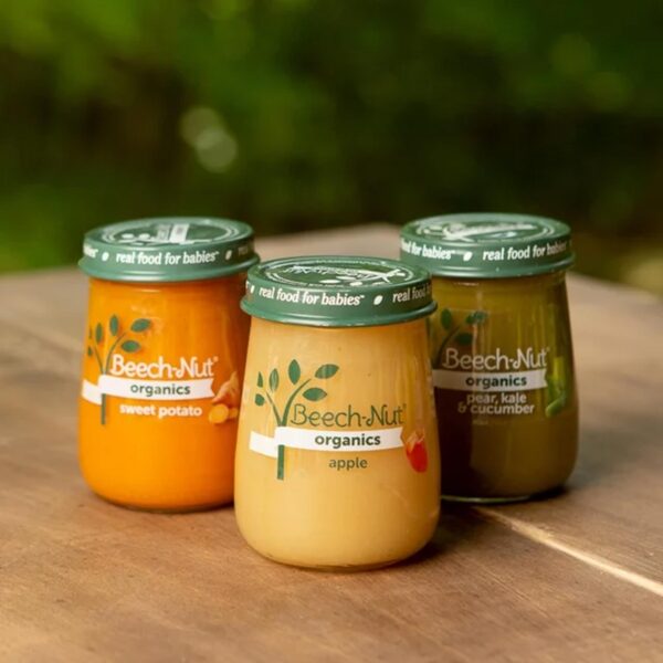 Beech-Nut Organics Stage 1 Organic Baby Food, Pumpkin, 4 oz Jar - 图片 4